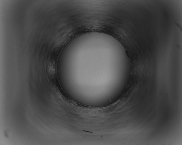 X0000101460040200807141316