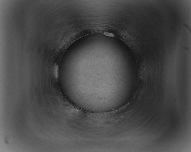 X0000101460041200807141316