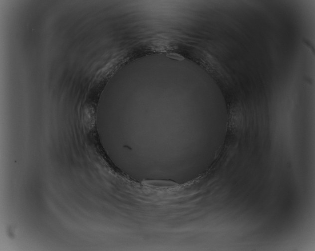 X0000101460043200807141316