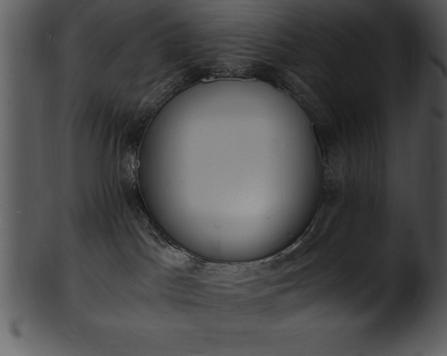 X0000101460045200807141316
