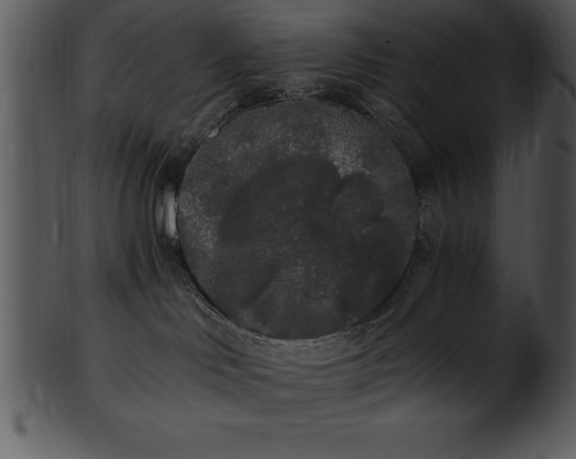 X0000101460046200807141316