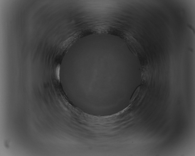X0000101460047200807141316