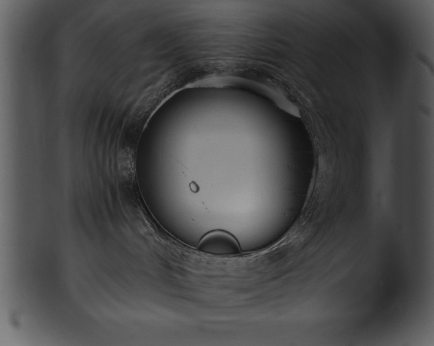 X0000101460048200807141316