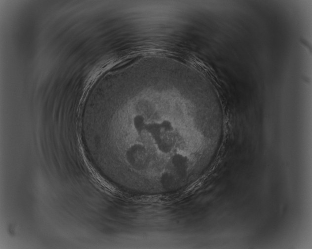 X0000101460049200807141316