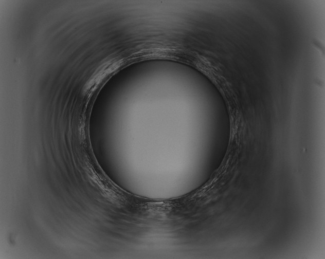 X0000101460050200807141316