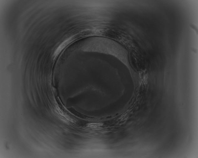 X0000101460051200807141316