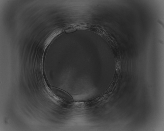 X0000101460052200807141316