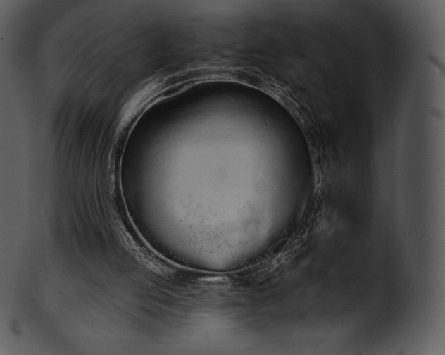 X0000101460053200807141316