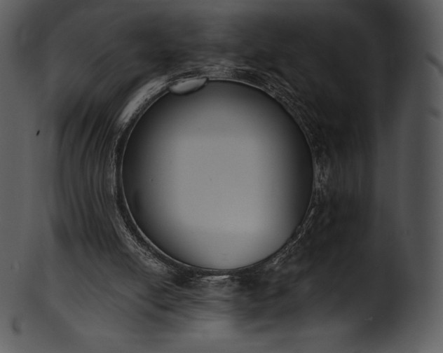 X0000101460054200807141316