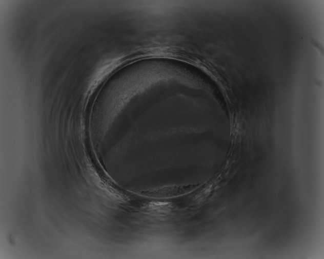 X0000101460055200807141316