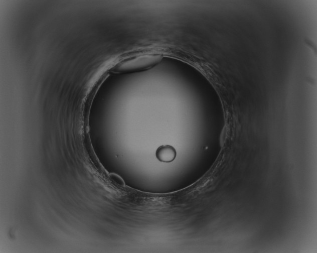 X0000101460056200807141316