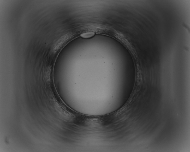 X0000101460058200807141316