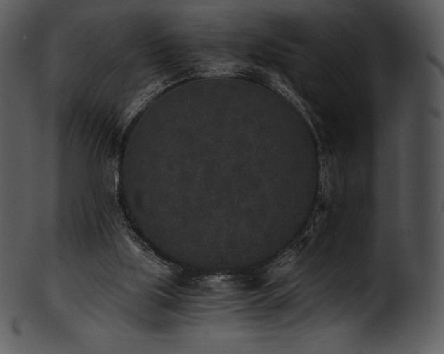 X0000101460059200807141316