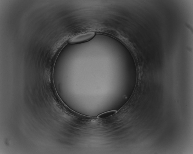 X0000101460060200807141316