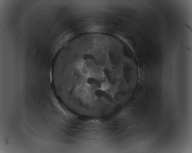 X0000101460061200807141316