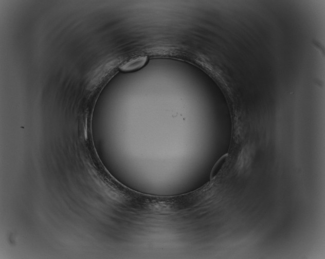 X0000101460062200807141316