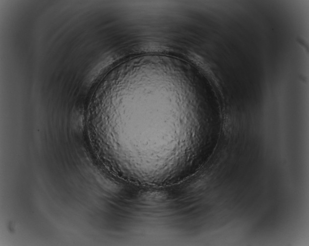 X0000101460063200807141316