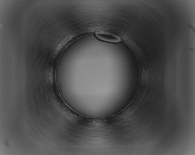 X0000101460064200807141316