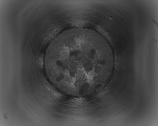 X0000101460065200807141316