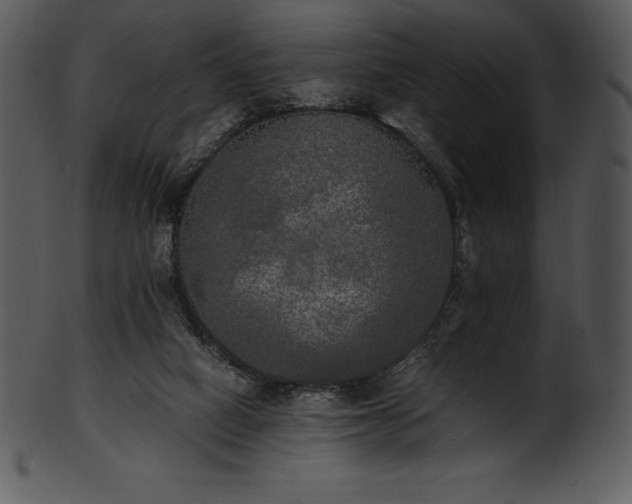 X0000101460066200807141316