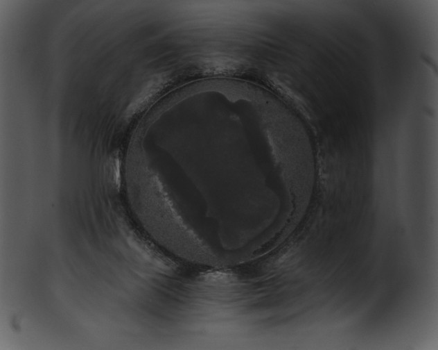 X0000101460067200807141316
