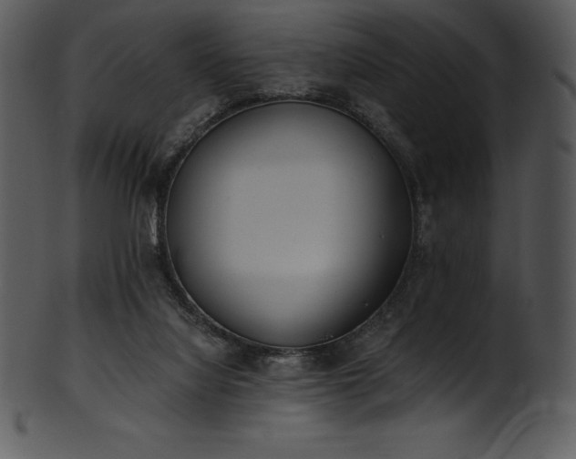 X0000101460068200807141316