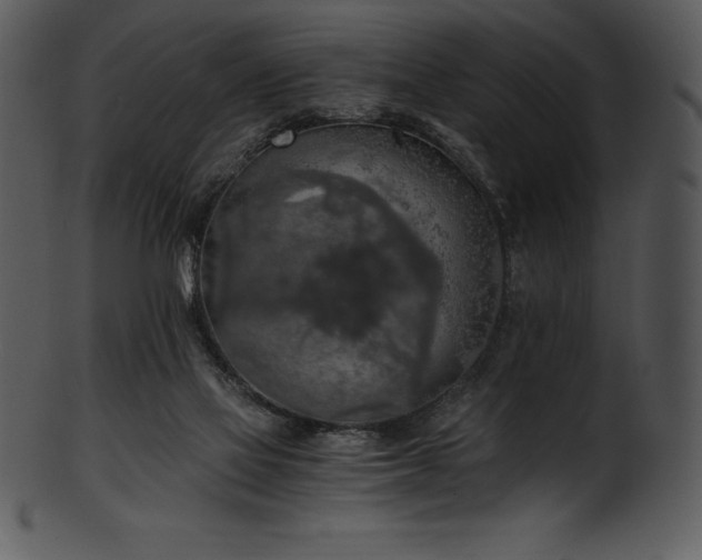 X0000101460069200807141316
