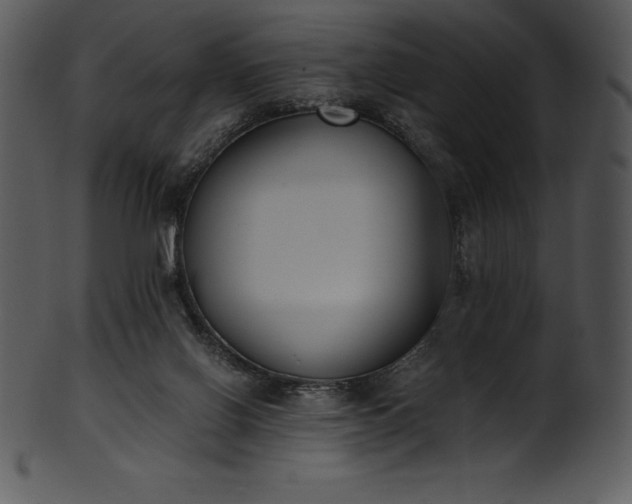 X0000101460070200807141316