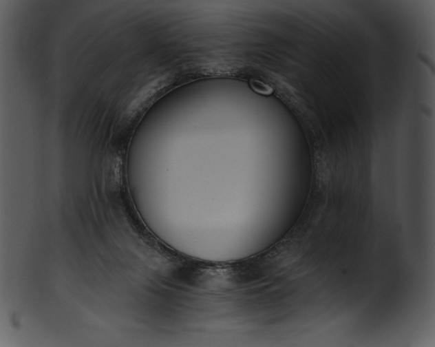 X0000101460071200807141316