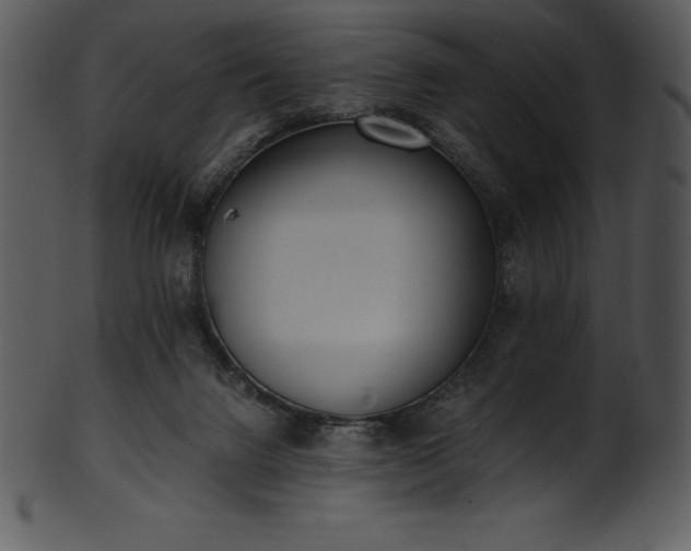 X0000101460072200807141316