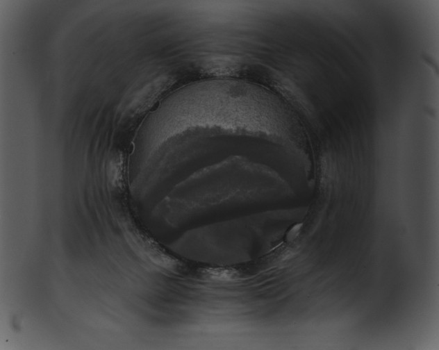 X0000101460073200807141316