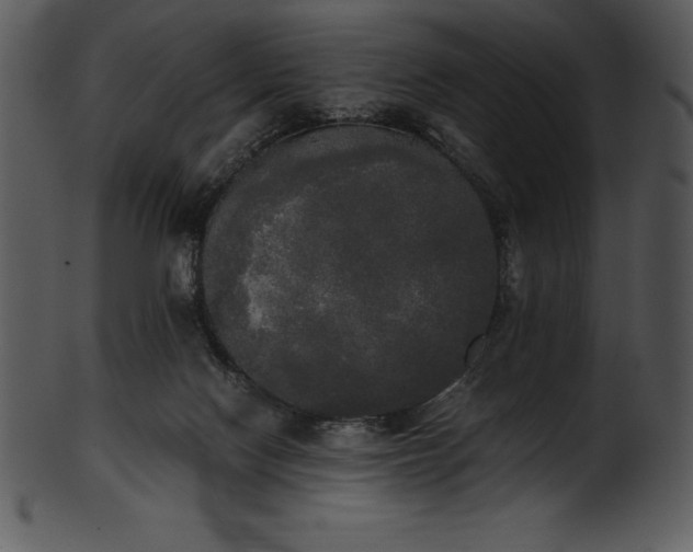 X0000101460074200807141316