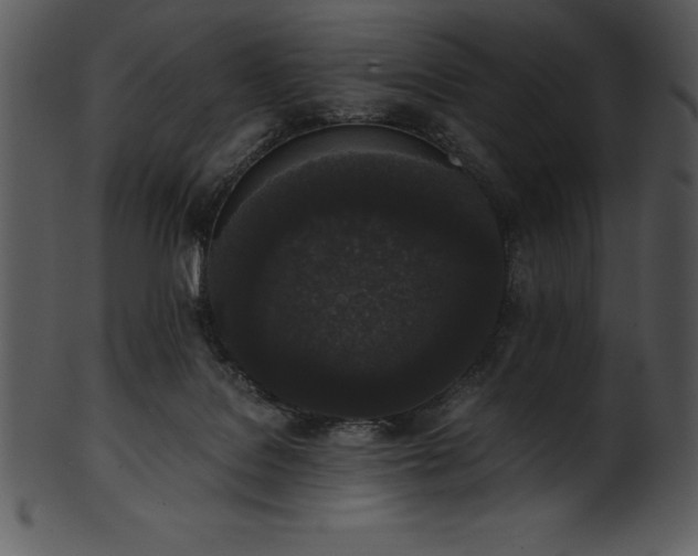 X0000101460076200807141316