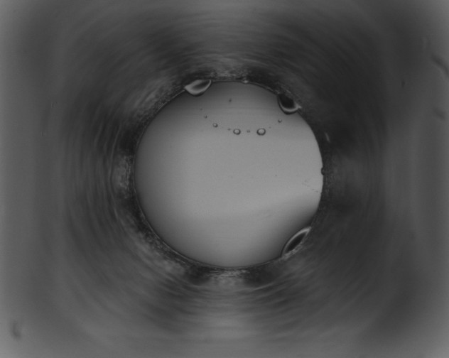 X0000101460078200807141316