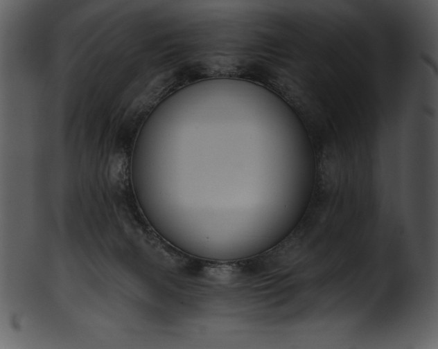 X0000101460079200807141316