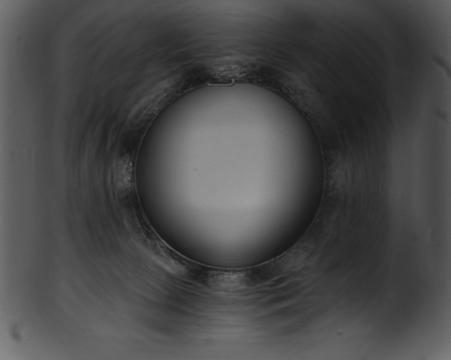 X0000101460081200807141316