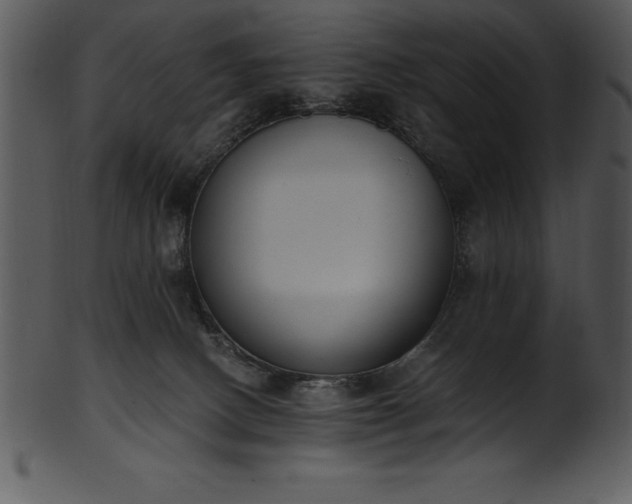 X0000101460082200807141316