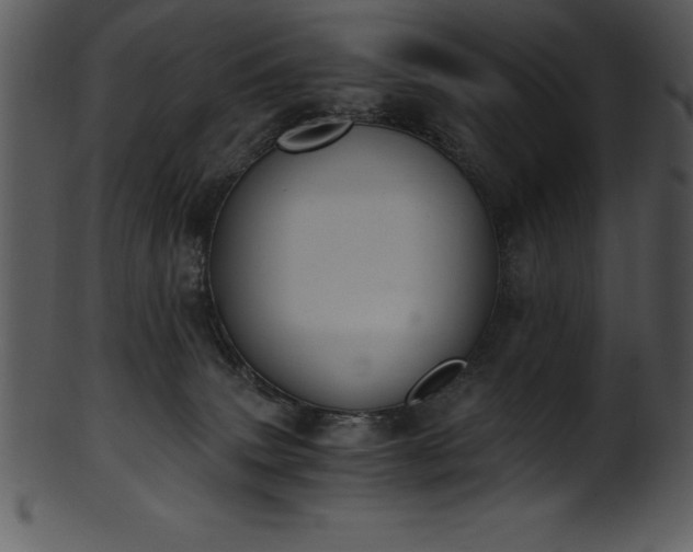 X0000101460083200807141316