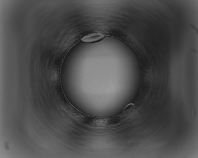 X0000101460084200807141316