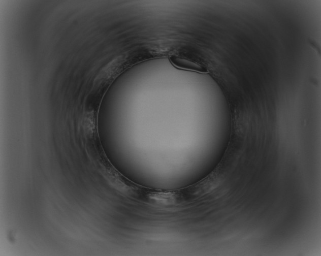 X0000101460085200807141316
