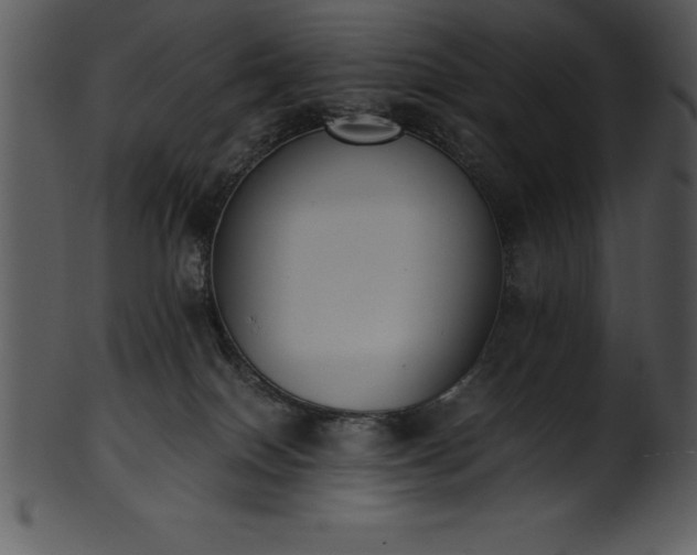 X0000101460086200807141316