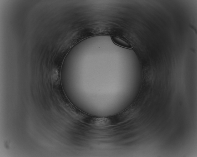 X0000101460087200807141316