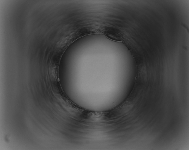 X0000101460088200807141316