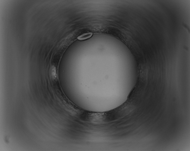 X0000101460089200807141316