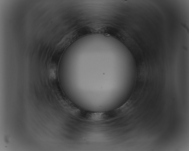 X0000101460090200807141316