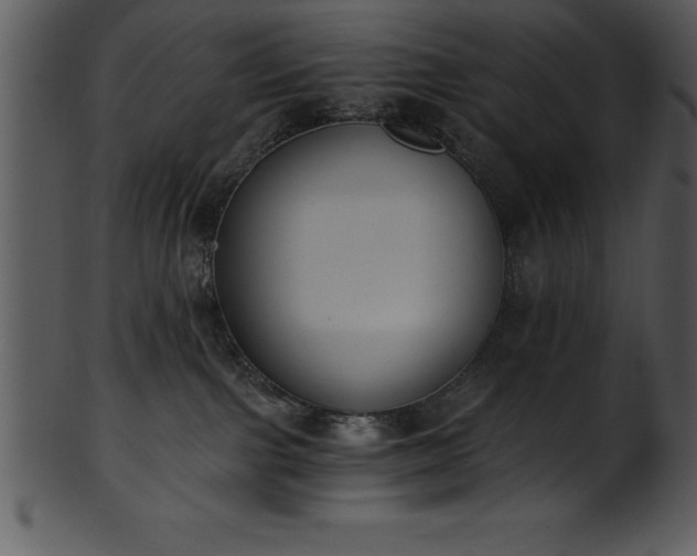 X0000101460091200807141316