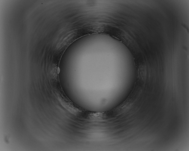 X0000101460092200807141316
