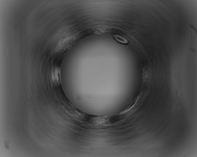 X0000101460094200807141316
