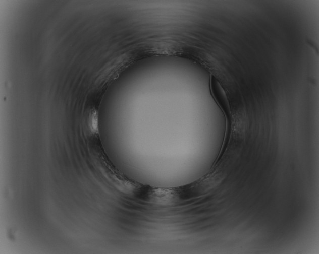 X0000101460095200807141316