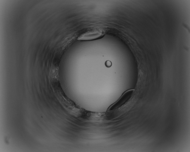 X0000101460096200807141316